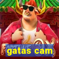 gatas cam